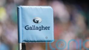 Government appoints independent advisers to aid rugby union rescue effort