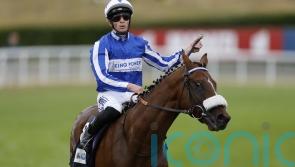 The Foxes set for distance switch after Derby run