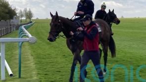 The Astrologist&rsquo;s team predicting big Haydock effort