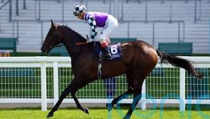 El Habeeb connections have reason for cautious optimism in Gold Cup