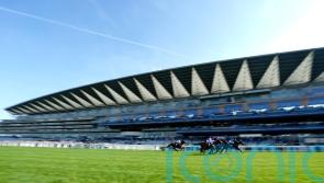 British Horseracing Authority refuses to give in to demands of activists