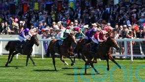 Bradsell spearheading Royal Ascot squad for Archie Watson