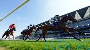 King on weather watch for Gold Cup contender Trueshan
