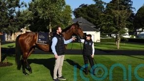 Coolangatta leads international King&rsquo;s Stand charge