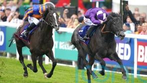Amo looking to King Of Steel for Ascot breakthrough