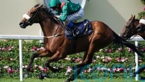 Tahiyra takes Coronation triumph for Weld