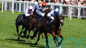 Hollie Doyle and Saint Lawrence are Wokingham wonders