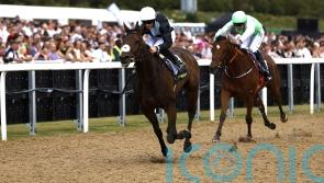 Palmer planning dual assault on Northumberland Plate