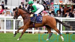 Promising juvenile Asadna makes Alice Haynes switch