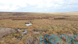 MEPs &lsquo;have to make up mind quickly&rsquo; on key EU environmental law, says Ryan