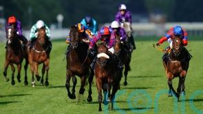 Big Evs being pointed towards Molecomb date