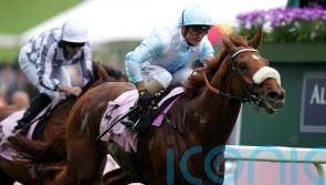 Botti happy to chart direct Goodwood route with Giavellotto