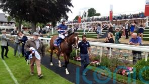 Sir Busker on comeback trail after eye operation