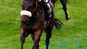 Hi Royal ready to renew Paddington rivalry