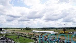 Plate gamble could be Golden ticket to Newcastle riches