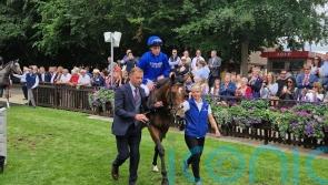 Mystery solved at Newmarket in shape of potential Appleby star