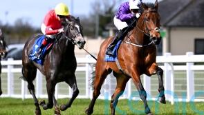 Bucanero Fuerte set to put form to the test in Railway assignment at the Curragh