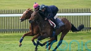 Hills eyeing Goodwood options for Cicero&rsquo;s Gift