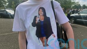 GSOC probes whether gardai committed offence in Browne death