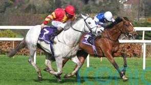 White Birch has earned rest after taking in Epsom and Curragh Classics