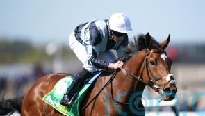 Passenger plans undecided after Derby disappointment