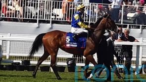 Menuisier favouring French option for Heartache Tonight