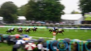 Arabic Legend impresses on debut to earn Guineas quotes