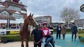 Araminta claims Prix Chloe honours for Candy