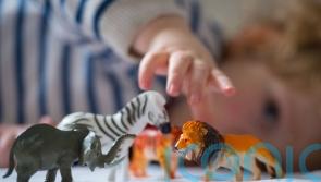 Judge expresses concern over Ireland&rsquo;s provision for children in state care