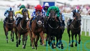 Relief Rally aiming to plunder Super Sprint riches for Haggas