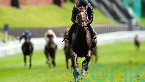 Savethelastdance on course for second Classic chance