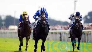 Alflaila on York comeback trail after lengthy absence