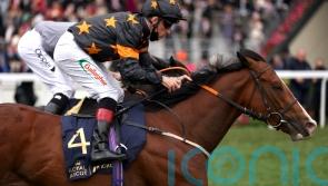 Rohaan primed for Hackwood assignment at Newbury