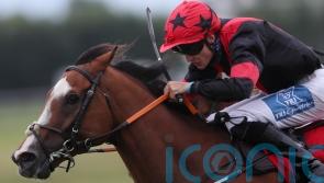 McGuiness lining up sizeable squad for Galway Festival