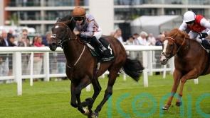 Action Point passes Rose Bowl test in style