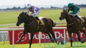 Hayes holds high hopes for Tarawa in Minstrel