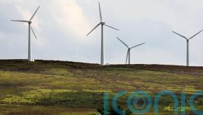 &lsquo;Immediate&rsquo; action needed to meet carbon budget targets, council warns