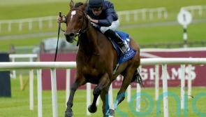 Ylang Ylang bids to cement tag as Guineas favourite at Leopardstown