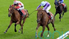 Goodwood specialist Quinn recalls Persian Punch&rsquo;s glory days