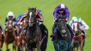 Derby duo highlight 11 contenders in top-class King George