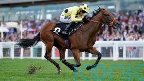 Rosallion impresses with clear-cut Ascot win