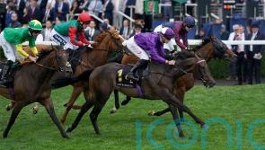 Baradar sparks International celebration at Ascot