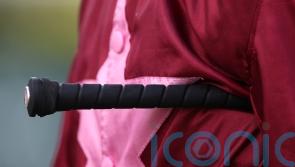 Whip rules tweaked once more by BHA