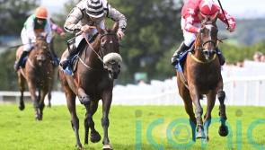 Fahey on the mark again at Galway with Ambitious Fellow