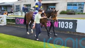 Deepone takes foray into Listed waters at Tipperary