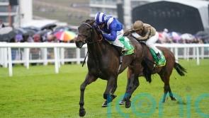 Al Aasy aiming to rule the roost in Rose of Lancaster