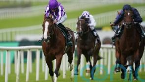 Diego Velazquez makes striking Curragh debut