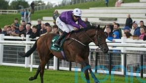 Bucanero Fuerte rises to the challenge in Phoenix Stakes