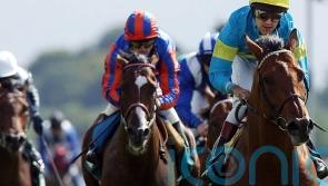 Cumani recalls fantastic campaign with International star Falbrav