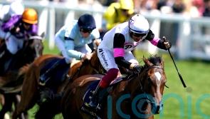 Moyglare mission a possibility for Porta Fortuna